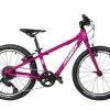 BEMOOVE Vélo Enfant 20 Pouces M20 Rose
